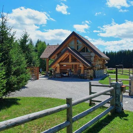 Kraljica Sume - Divjake Log Home Hlevci Esterno foto