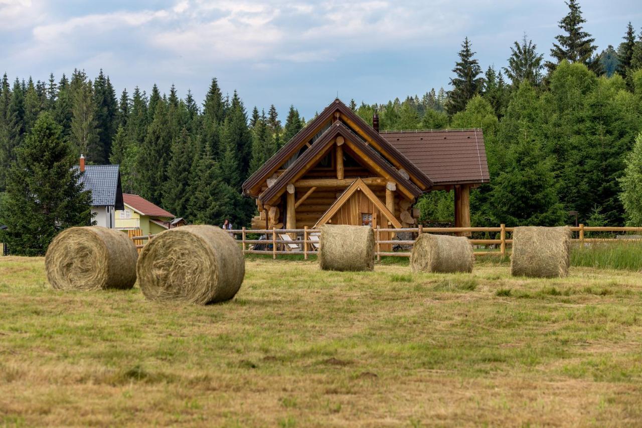 Kraljica Sume - Divjake Log Home Hlevci Esterno foto