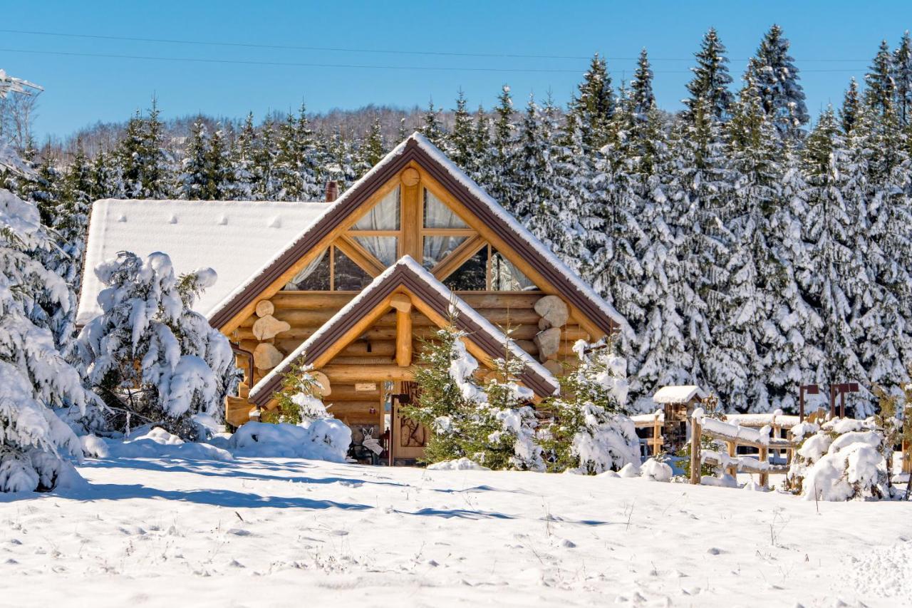 Kraljica Sume - Divjake Log Home Hlevci Esterno foto