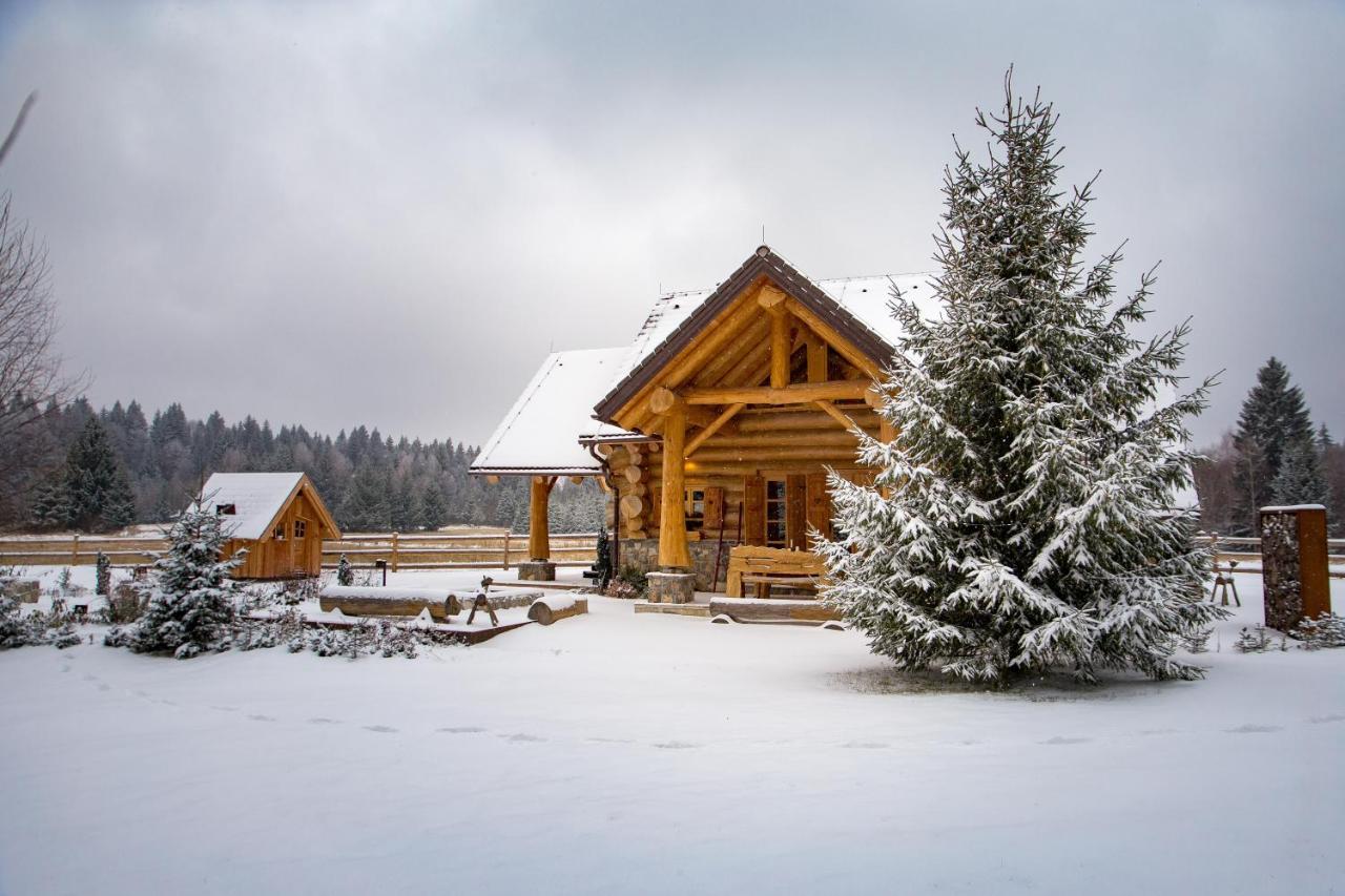 Kraljica Sume - Divjake Log Home Hlevci Esterno foto