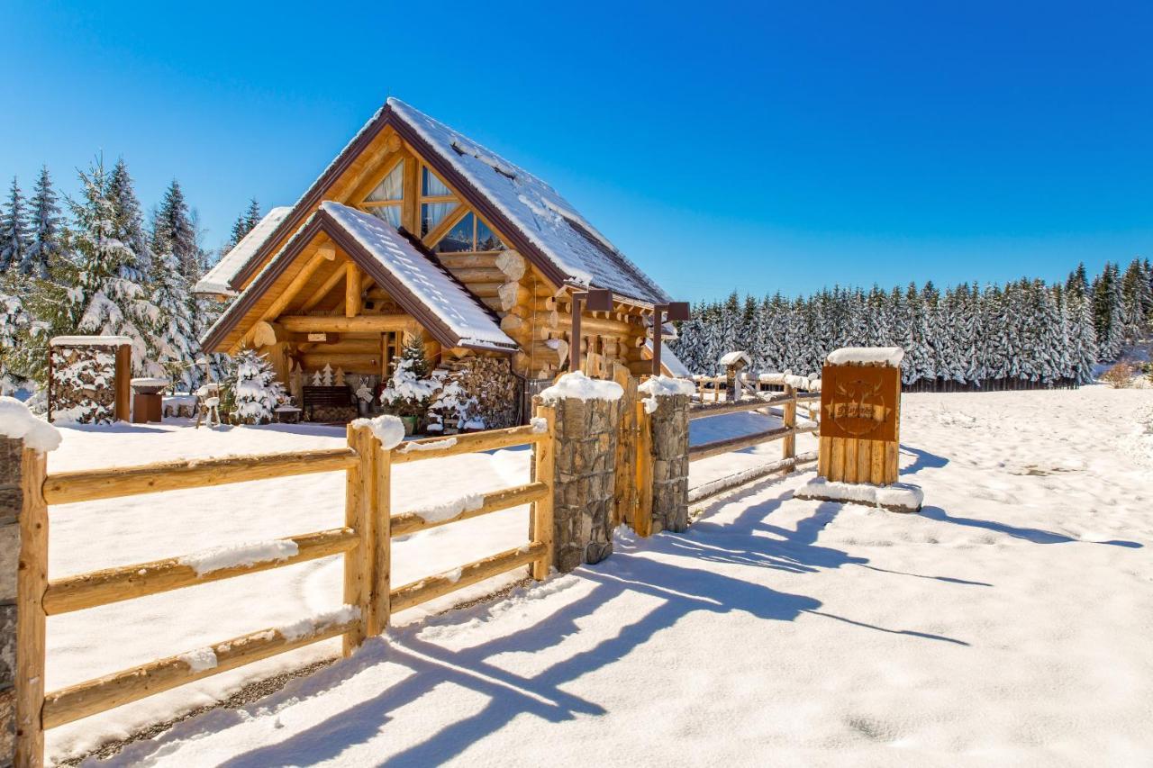 Kraljica Sume - Divjake Log Home Hlevci Esterno foto