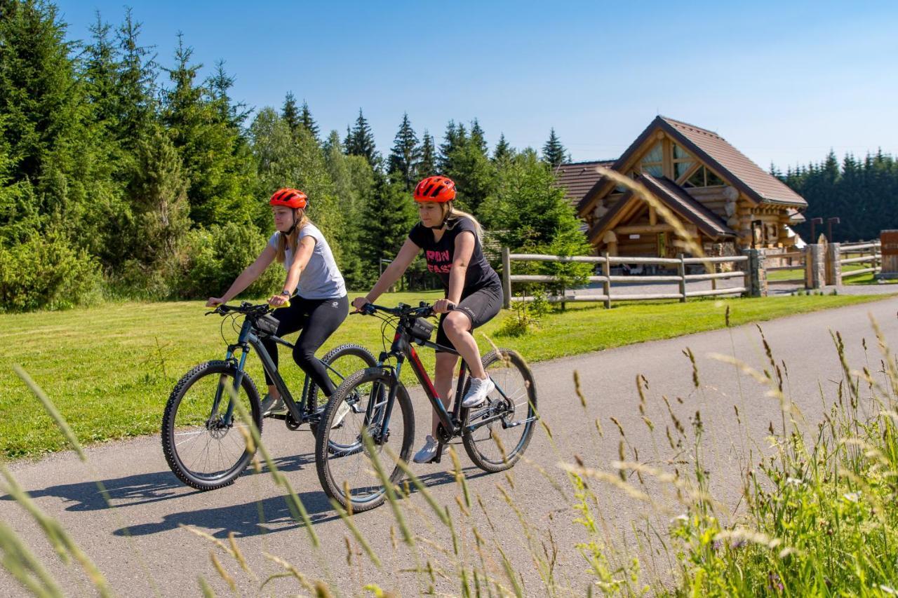 Kraljica Sume - Divjake Log Home Hlevci Esterno foto